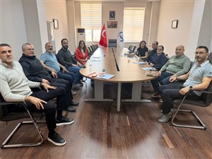 Akran Değerlendirme Tetkik Planı
